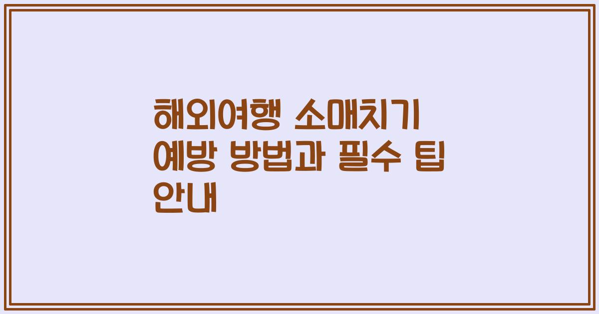 해외여행 소매치기 예방 방법과 필수 팁 안내